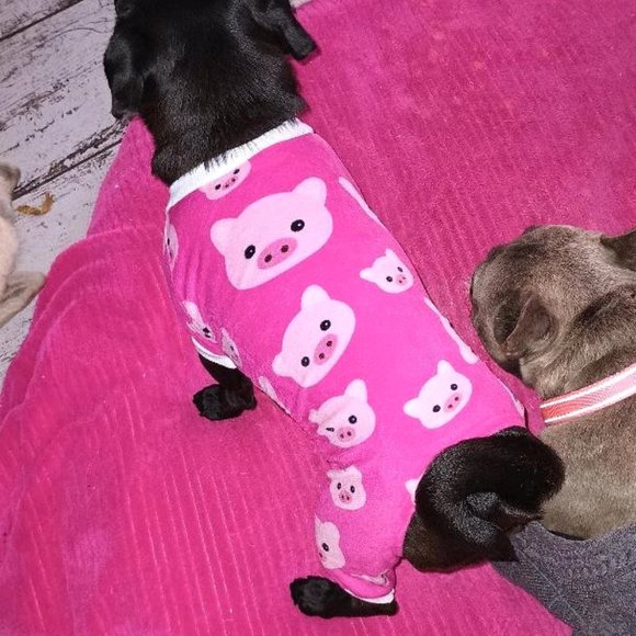Pink Pig Dog Pajamas PJ's Doggy Animal Pet Clothing Medium Cutebone - Picture 3 of 5